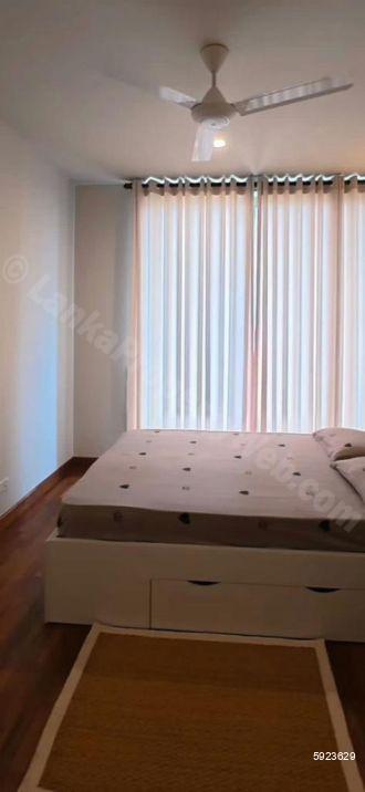 Apartment for rent in Colombo 7