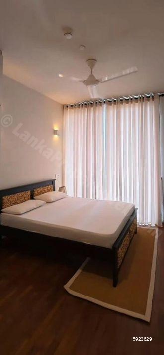 Bedroom - Apartment for rent in Colombo 7