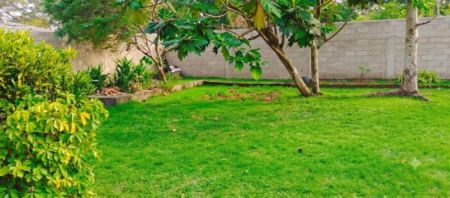 Exterior - Prime Single-Storey House for Sale in Kandana