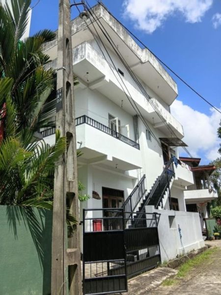 Exterior - Two-unit house with six bedrooms, three washrooms, two kitchens, rooftop, etc.