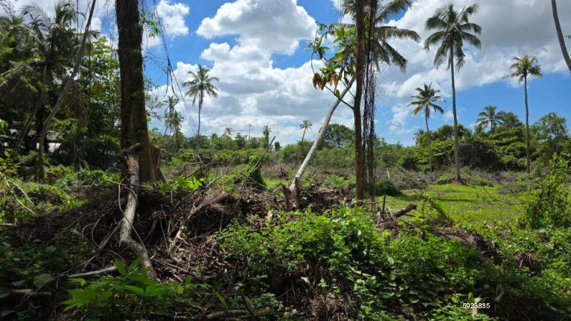 Bare Land for sale in Negombo