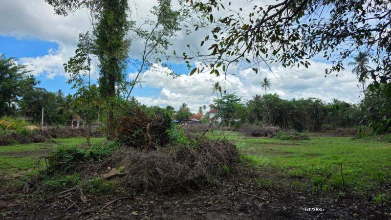 Bare Land for sale in Negombo