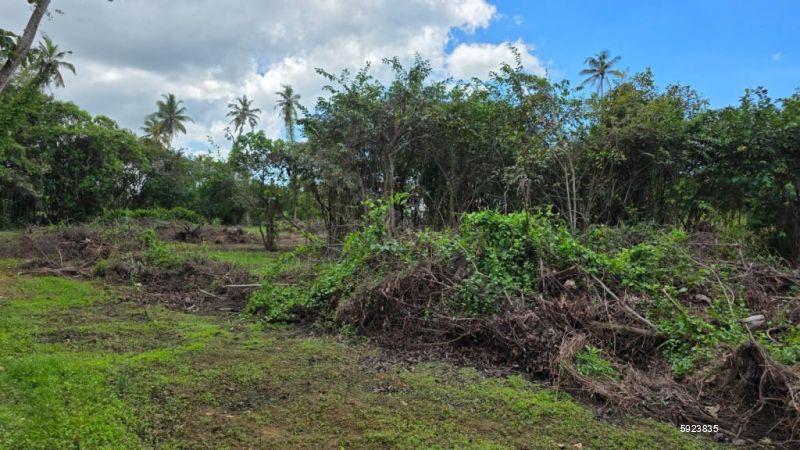 Bare Land for sale in Negombo