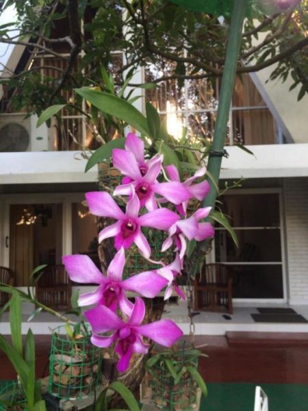 Exterior - Ratmalana - Borupana 05 Bed Rooms Large House on 20 Perches of Land for Sale 