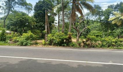 Bare Land
