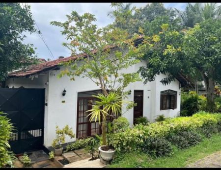 Exterior - Wattala 04 Bed Room House on 18.71 Perches of Land for Sale 