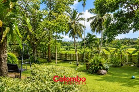Exterior - Wadduwa Villa –  5 Room Heritage Villa / Retreat For SALE (HLT47)