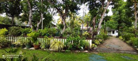 Exterior - (KH724) Super Luxury Two Storey House for Sale in Kochchikade