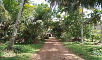 Land with house