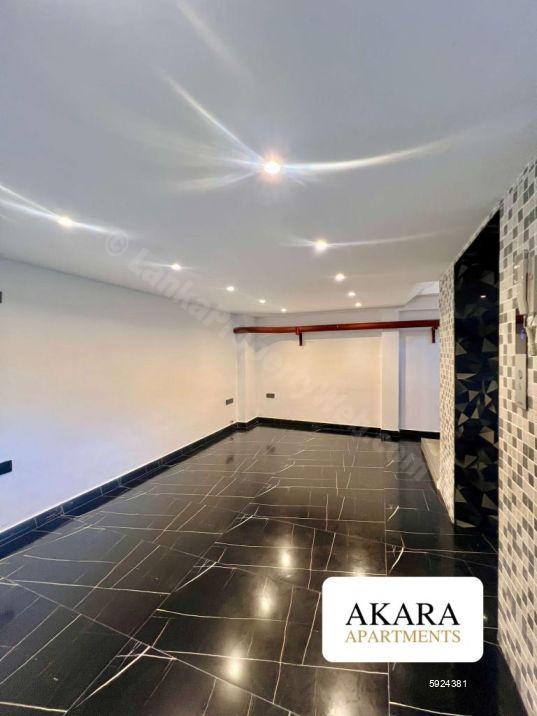 Commercial for rent in Colombo 3