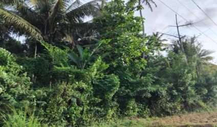 Land with house