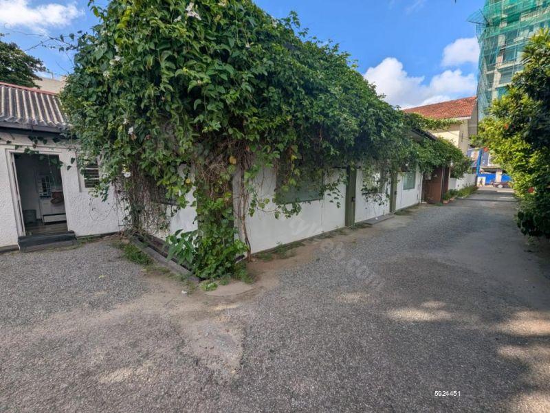 Commercial for rent in Colombo 5
