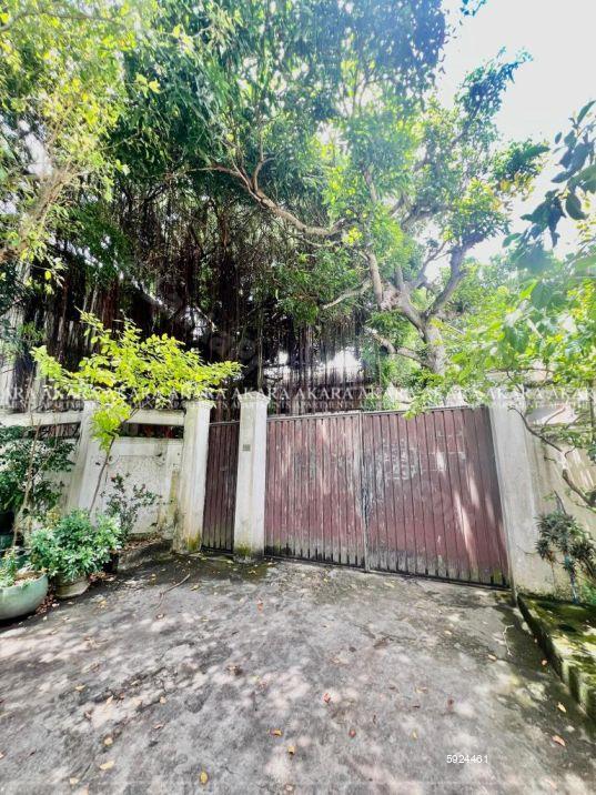 Commercial for rent in Colombo 5