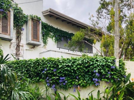 Exterior - 5 Bedroom Fully Furnished House for Rent - Colombo 5 | LKR 1.5 Million Per Month (EM897)