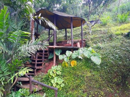 Exterior - Luxury 4 Bed Villa for Rent Aniwatte Kandy 