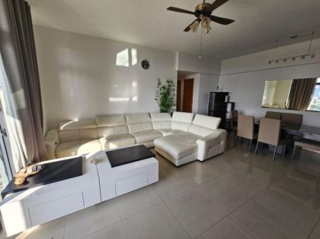 Living Room - Havelock/high-end furnished/03beds/for rent in Colombo -05.