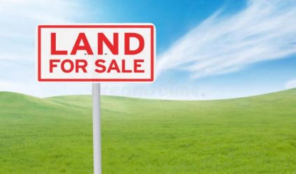 Bare Land