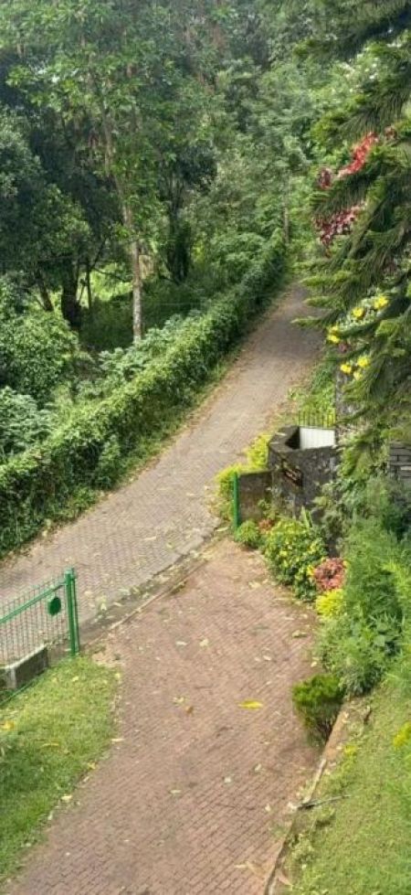 Exterior - Luxury Villa For Sale In Kandy