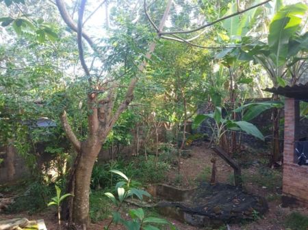 Exterior - Rs 2.85 million per perch. 15.6 p in Kotte