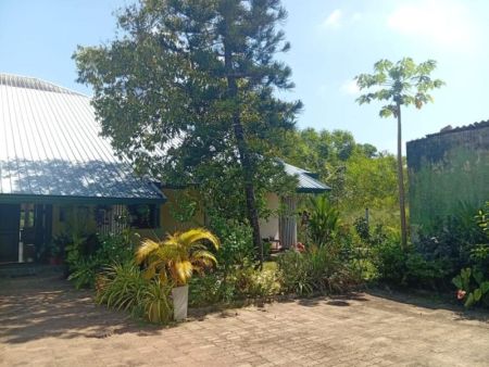 Exterior - Luxury Waterfront Villa for Sale – Bolgoda Lake Island