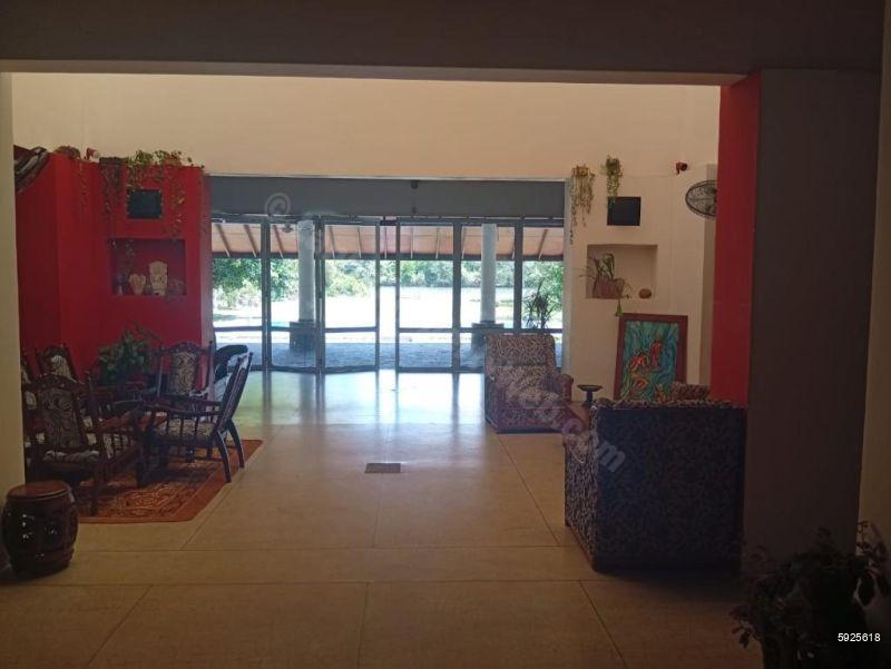Living Room - Villa for sale in Bolgoda
