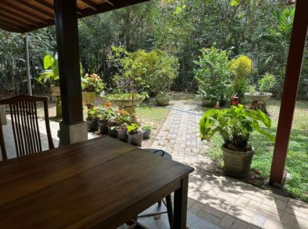 Exterior - Turnkey tropical paradise near Tangalle