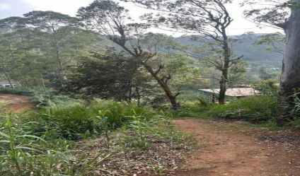 Land with house