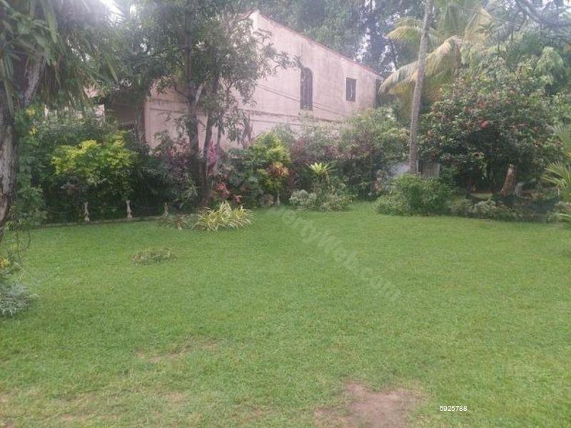 Exterior - House for rent in Wattala
