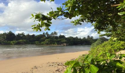 Beachfront land