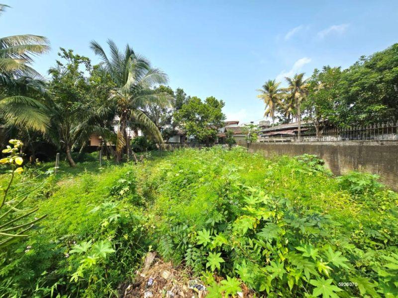 Bare Land for sale in Thalahena