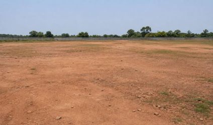 Bare Land