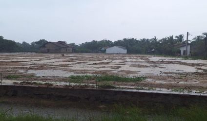 Bare Land