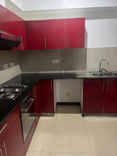 Kitchen - Luxury On320 apartment for Rent in Colombo 2 
