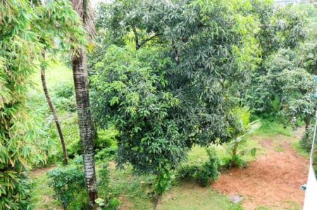 Exterior - Rajagiriya 3-story Luxury House For Sale