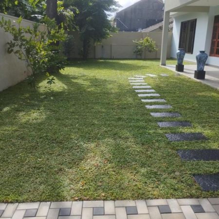 Exterior - Modern 4 Bedroom House for Rent at Mount Lavinia| LKR 300,000/ Month (EM041AC)