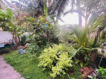 Exterior - Kandana Prime Residential Property for Sale