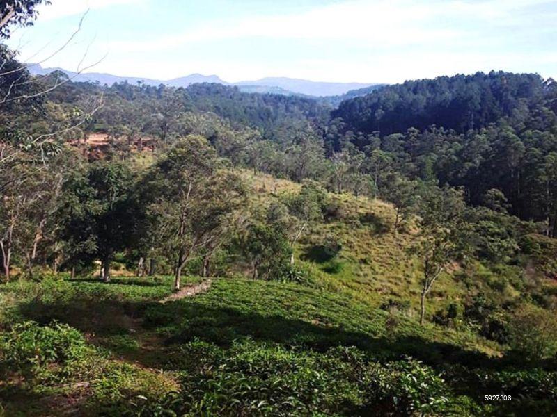 Commercial for sale in Bandarawela