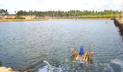 Waterfront land