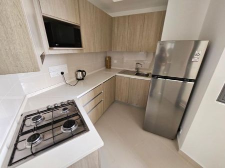 Kitchen - Apartment For Rent – Trizen, Colombo 02