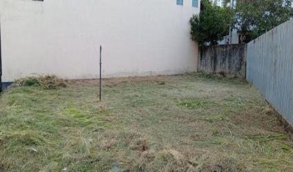 Bare Land