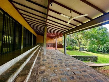 Exterior - Tropical Family Retreat with Stunning Rock Pool & Expansive Gardens