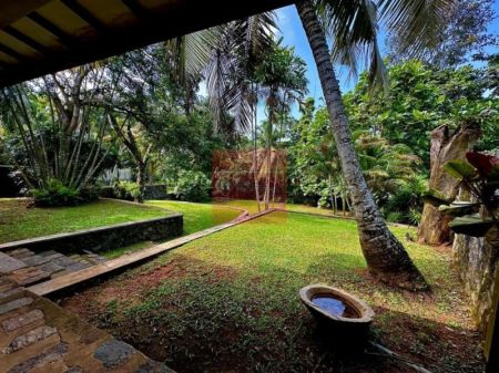 Exterior - Tropical Family Retreat with Stunning Rock Pool & Expansive Gardens