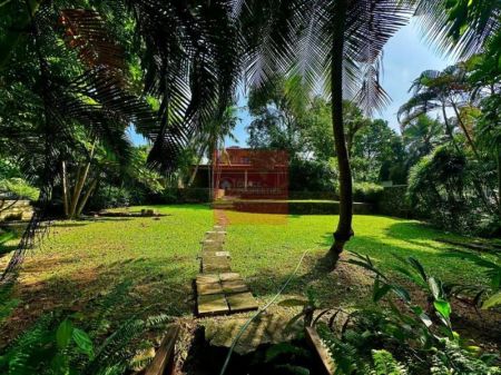 Exterior - Tropical Family Retreat with Stunning Rock Pool & Expansive Gardens