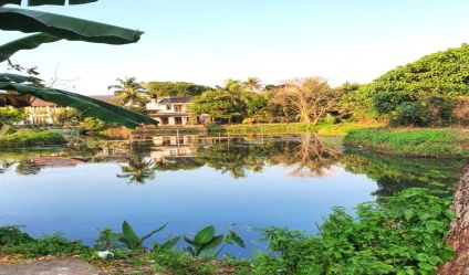 Waterfront land