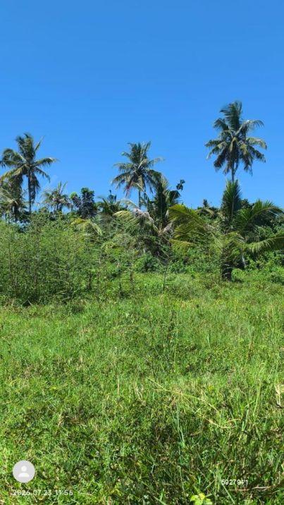 Bare Land for sale in Ahangama