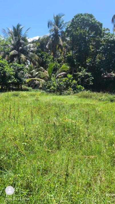 Bare Land for sale in Ahangama