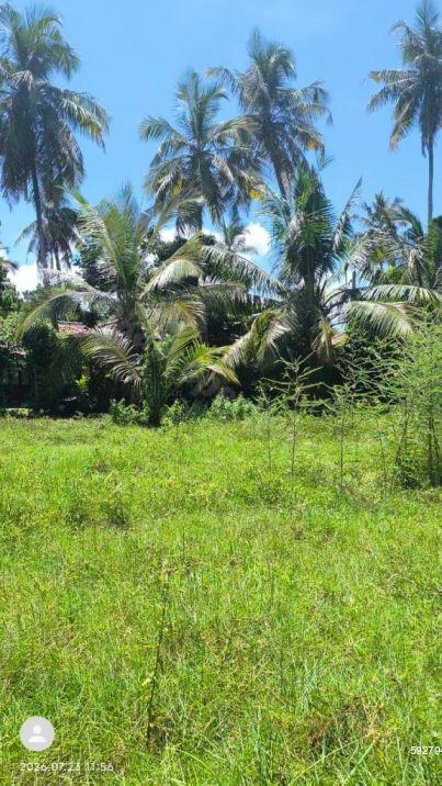 Bare Land for sale in Ahangama