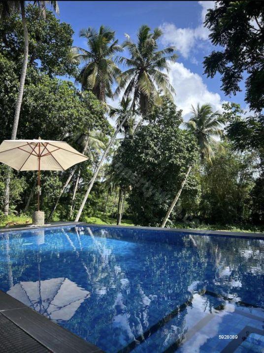 Swimming pool - House for rent in Weligama