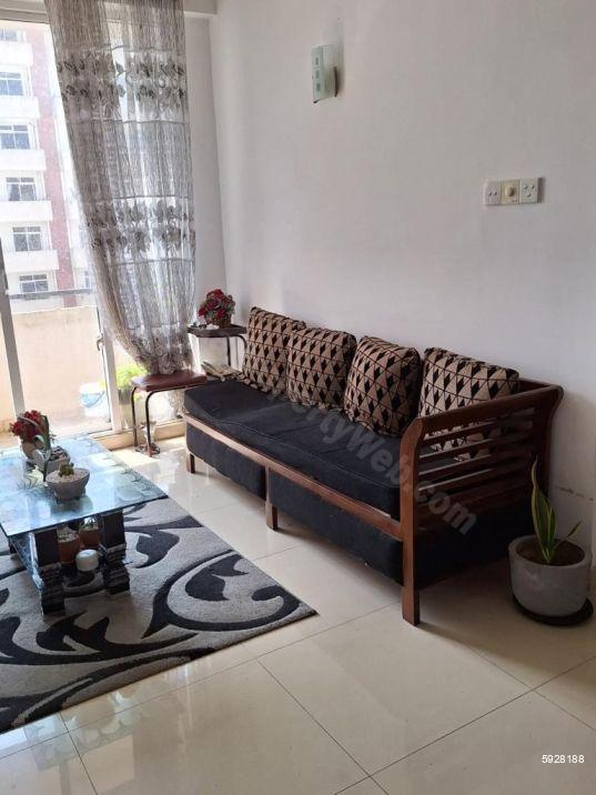 Living Room - Apartment for rent in Dehiwala