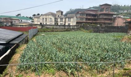 Cultivated Land